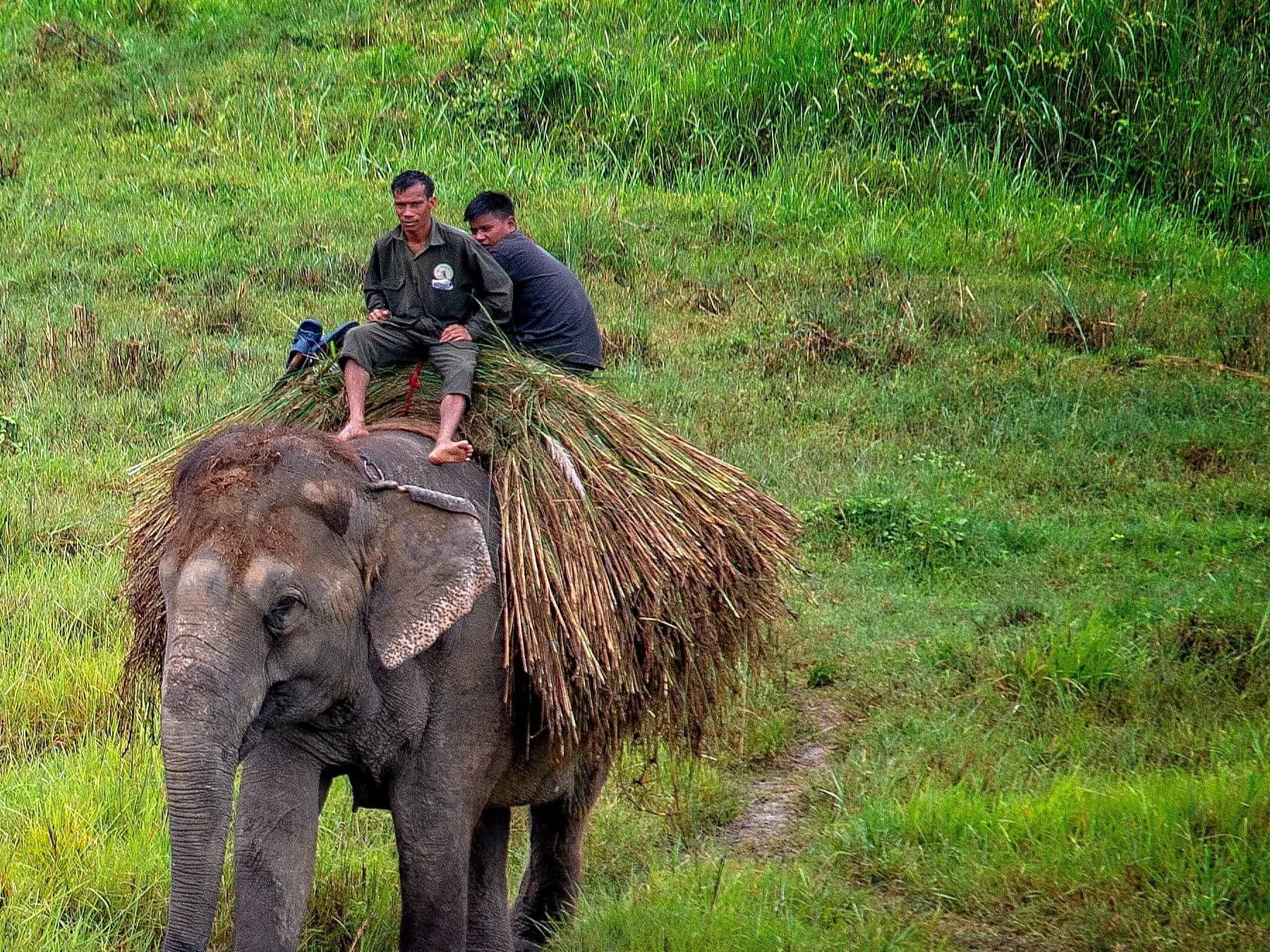Kathmandu, Pokhara and Chitwan Tour, 7 Days