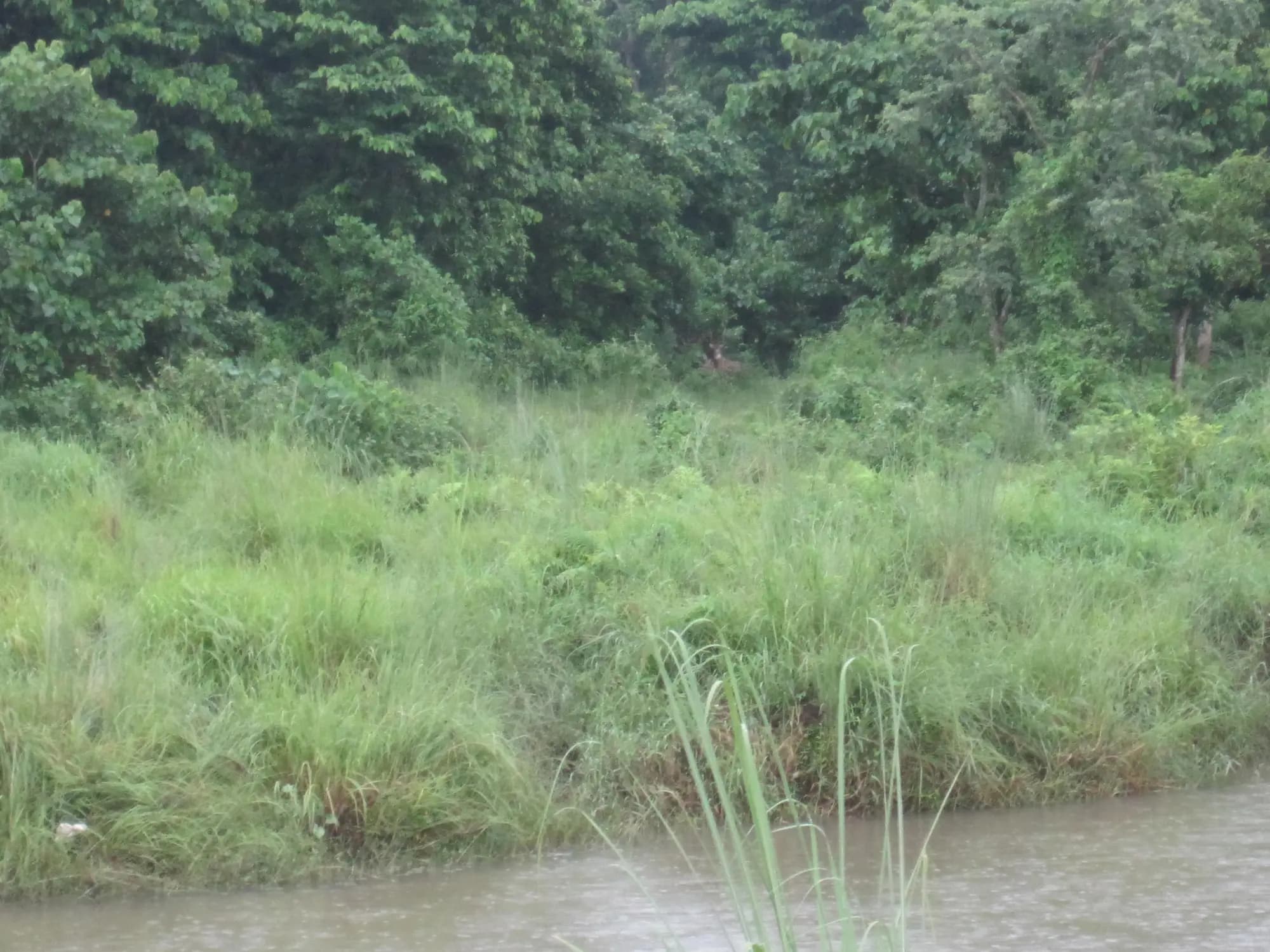 Chitwan Wildlife Safari 3 Nights 4 Days