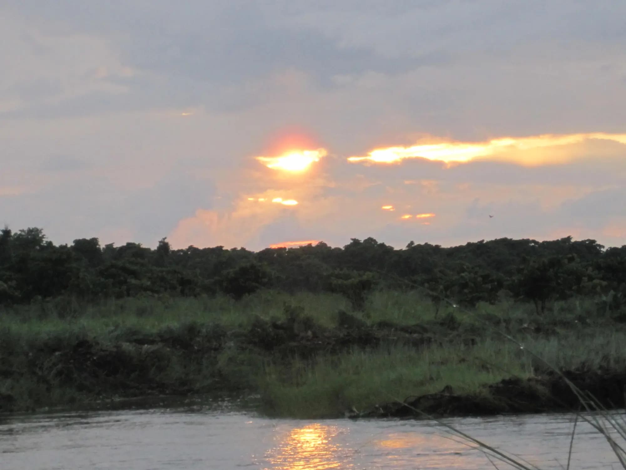 Chitwan Jungle Safari 1 Night 2 Days