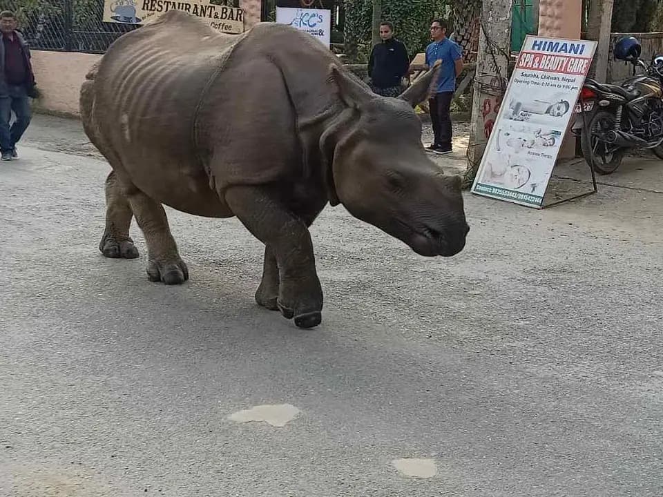 Kathmandu to Chitwan by Private Car