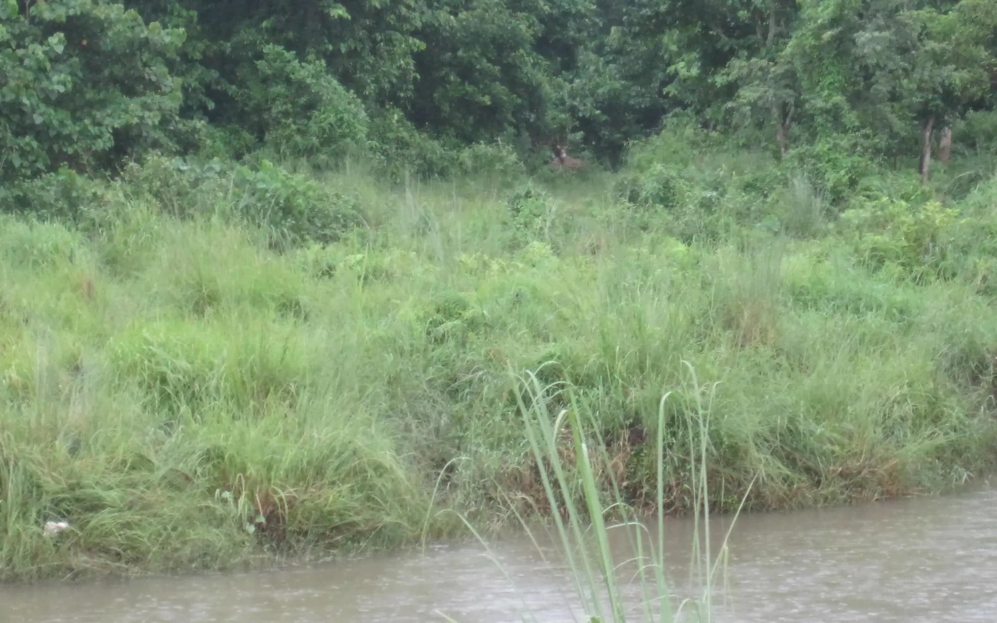 Chitwan Full-Day Jeep Safari
